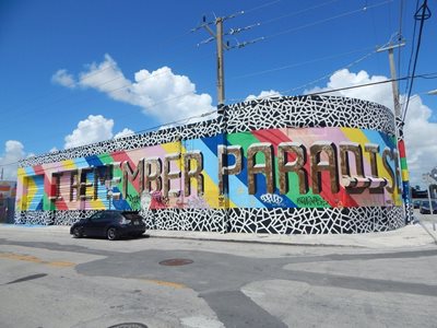 میامی-منطقه-هنر-خیابانی-وینمود-Wynwood-Walls-214648