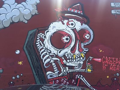 میامی-منطقه-هنر-خیابانی-وینمود-Wynwood-Walls-214647