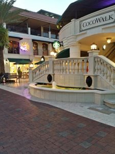 میامی-مرکز-خرید-کوکووالک-CocoWalk-215199