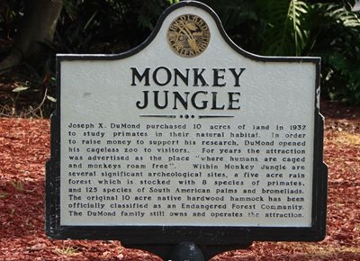 میامی-باغ-وحش-جنگل-میمون-ها-Monkey-Jungle-215509