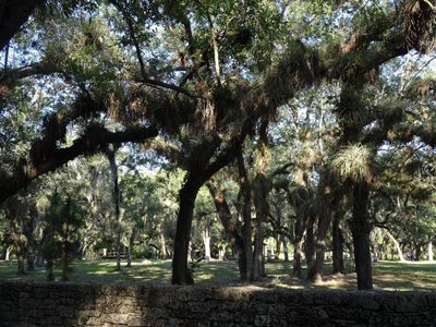 محله کوکونات گرو Coconut Grove