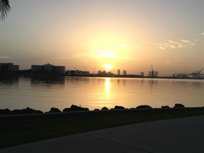 میامی-پارک-ساحلی-بای-فرونت-Bayfront-Park-215674
