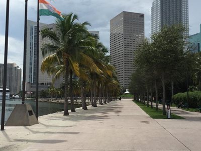 میامی-پارک-ساحلی-بای-فرونت-Bayfront-Park-215676