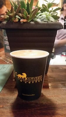 میامی-کافه-پنتر-Panther-Coffee-215937