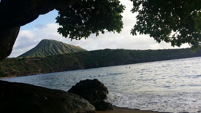 هاوایی-ساحل-خلیج-هانااوما-Hanauma-Bay-216378