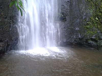 آبشار مانوآ Manoa Falls