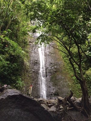 هاوایی-آبشار-مانوآ-Manoa-Falls-216534