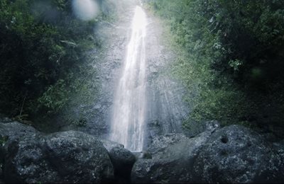 هاوایی-آبشار-مانوآ-Manoa-Falls-216535