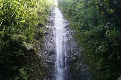 هاوایی-آبشار-مانوآ-Manoa-Falls-216536