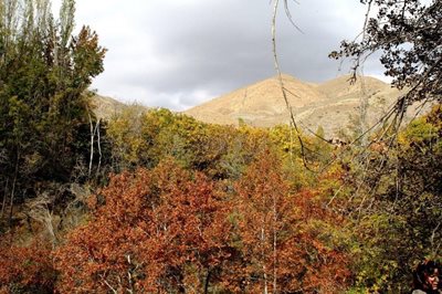کرج-روستای-ورده-216818