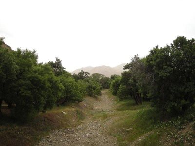 دلیجان-پناهگاه-حیات-وحش-جاسب-216861