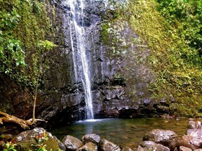 هاوایی-آبشار-مانوآ-Manoa-Falls-216533