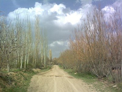 آشتیان-روستای-آهو-217387