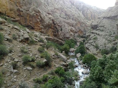 سمیرم-چشمه-ناز-ونک-217607