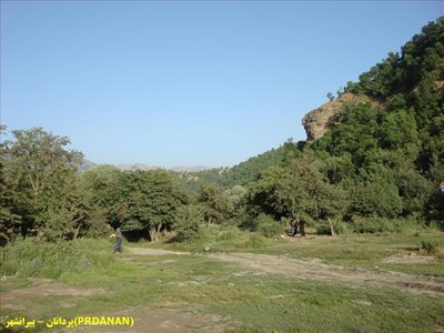 پیرانشهر-جنگل-های-پردانان-217969