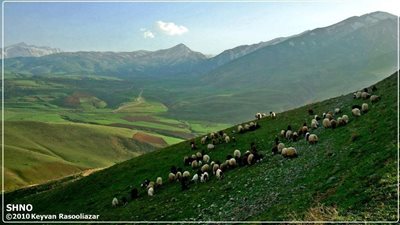 اشنویه-روستای-بیمضرته-218035