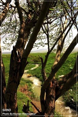 اشنویه-روستای-بیمضرته-218038