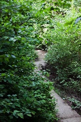 رامسر-قلعه-مارکوه-218507