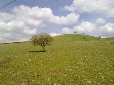 بناب-روستای-صور-218662