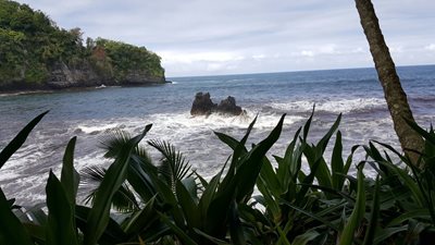 هاوایی-باغ-گیاه-شناسی-گرمسیری-هاوایی-Hawaii-Tropical-Botanical-Garden-221309