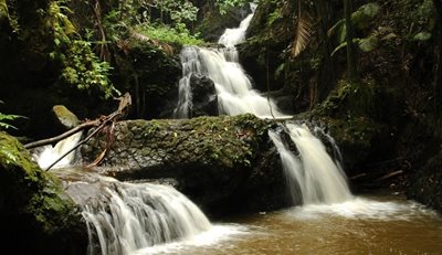 هاوایی-باغ-گیاه-شناسی-گرمسیری-هاوایی-Hawaii-Tropical-Botanical-Garden-221331