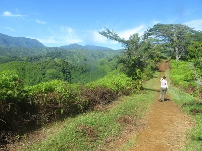 هاوایی-مسیر-کوهپیمایی-Kuilau-Ridge-Trail-221941