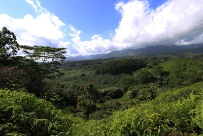 هاوایی-مسیر-کوهپیمایی-Kuilau-Ridge-Trail-221939