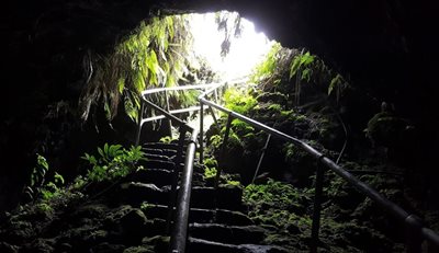 هاوایی-گذرگاه-های-گدازه-ای-هانا-Hana-Lava-Tubes-222090