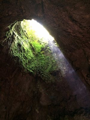 هاوایی-گذرگاه-های-گدازه-ای-هانا-Hana-Lava-Tubes-222109