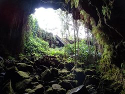 پارک غارهای کائومانا Kaumana Caves Park
