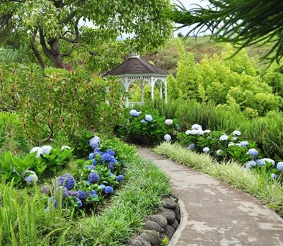 هاوایی-باغ-گیاه-شناسی-کولا-Kula-Botanical-Garden-222644