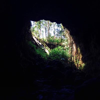 هاوایی-پارک-غارهای-کائومانا-Kaumana-Caves-Park-222674