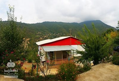 علی-آباد-کتول-اجاره-کلبه-جنگلی-224035