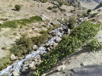 سی-سخت-چشمه-میشی-224182