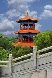 گوانجو-تپه-نیلوفر-آبی-Lotus-Hill-225671