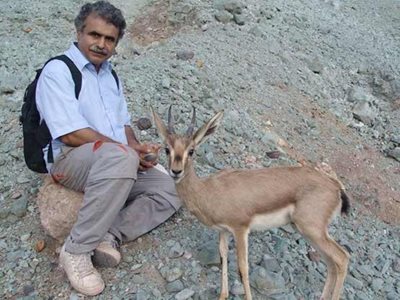 جزیره-هرمز-دشت-های-آهوان-227088
