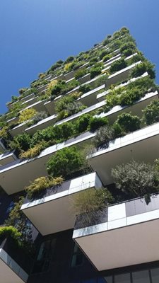 میلان-باغ-عمودی-Bosco-Verticale-227581