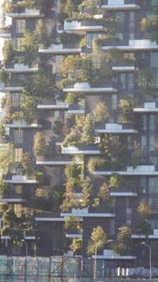 میلان-باغ-عمودی-Bosco-Verticale-227586