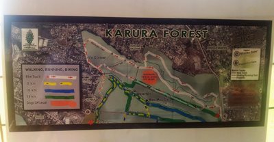 جنگل کارورا Karura Forest