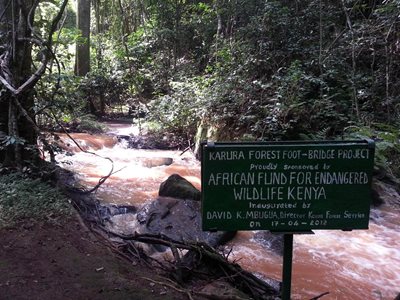 نایروبی-جنگل-کارورا-Karura-Forest-230418
