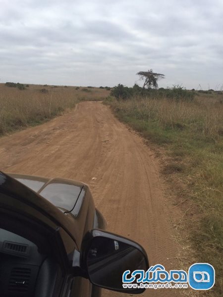 پارک ملی نایروبی Nairobi National Park