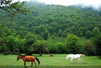 تهران-آژانس-مسافرتی-تابان-پرواز-آسیا-245353