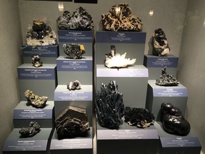 واشنگتن-موزه-ملی-تاریخ-طبیعی-Smithsonian-National-Museum-of-Natural-History-246363