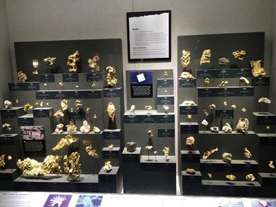واشنگتن-موزه-ملی-تاریخ-طبیعی-Smithsonian-National-Museum-of-Natural-History-246362
