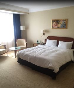 بخارست-هتل-هیلتون-Athenee-Palace-Hilton-Bucharest-246668