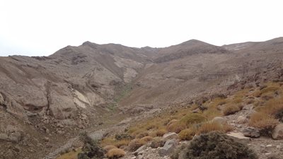 رفسنجان-کوه-پورکان-249595