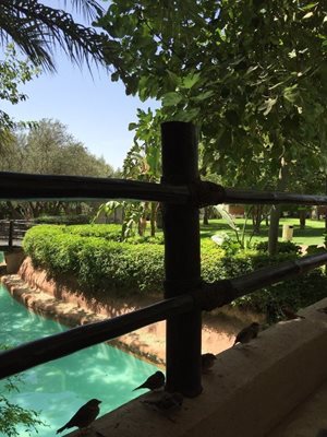 مراکش-پارک-آبی-Oasiria-Water-Park-252181