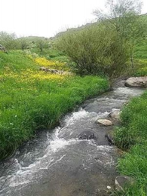 اردبیل-روستای-حسن-علی-کندی-252991