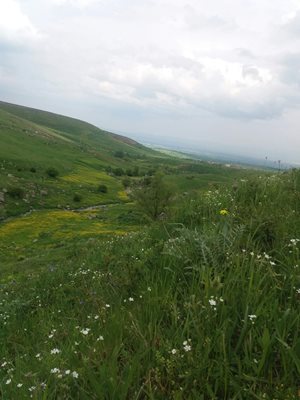 اردبیل-روستای-حسن-علی-کندی-252992