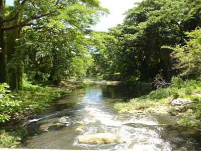 پارک هاوانا فارست Havana Forest